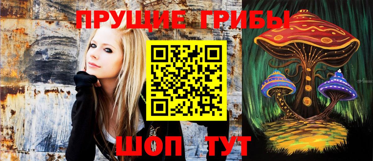 Галлюциногенные грибы Psilocybine cubensis  Вход с VPN  Псилоцибиновые грибы прущие грибы  Майкоп 